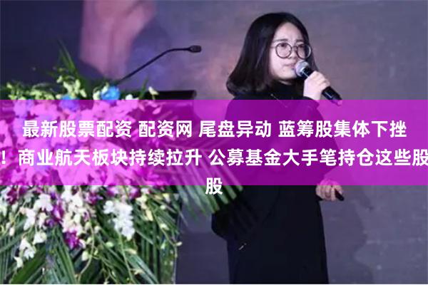 最新股票配资 配资网 尾盘异动 蓝筹股集体下挫！商业航天板块持续拉升 公募基金大手笔持仓这些股