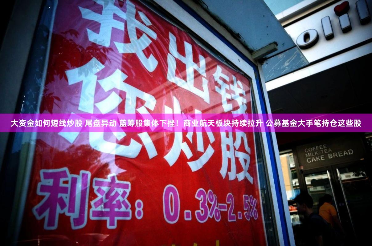 大资金如何短线炒股 尾盘异动 蓝筹股集体下挫！商业航天板块持续拉升 公募基金大手笔持仓这些股