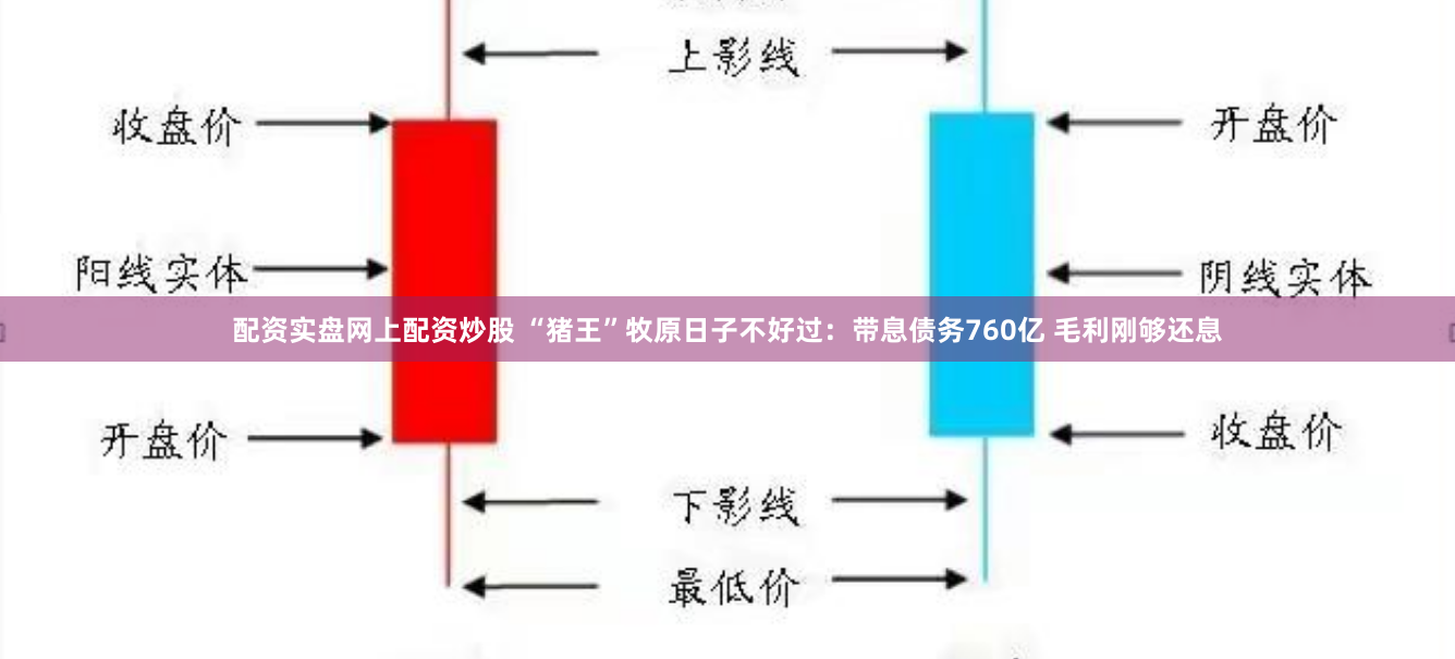 配资实盘网上配资炒股 “猪王”牧原日子不好过：带息债务760亿 毛利刚够还息