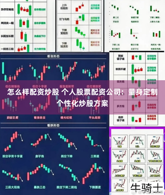 怎么样配资炒股 个人股票配资公司：量身定制个性化炒股方案