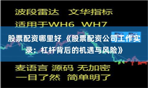 股票配资哪里好 《股票配资公司工作实录：杠杆背后的机遇与风险》